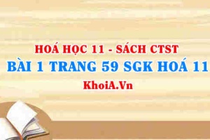 Bài 1 trang 59 SGK Hóa 11 Chân trời sáng tạo